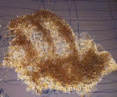 Item #1110404731341968382399006517740564118448817271899359241823578403757019365377 Media