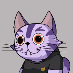 Michi Cat #0085