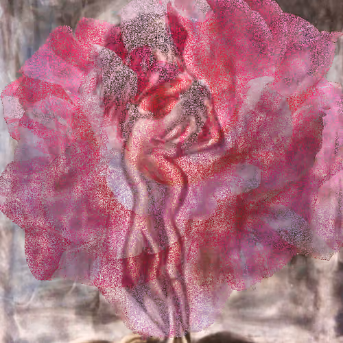Blossom