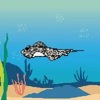 Etherfish #159