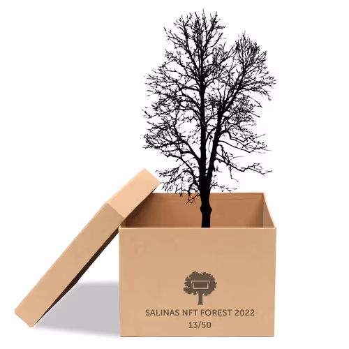 Item #63532776318757439562276927313719991273687356279339277108967620981621419671553 Media