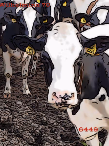 Item #106168068867162485094593885732241547229015412580842941571810197553840947986433 Media