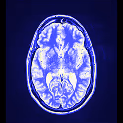 64162533542198579898252916190583583845604629893829087458582976527545273417729