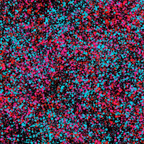 944858660688572096584618472555991747686703840338442188877309628048291659777