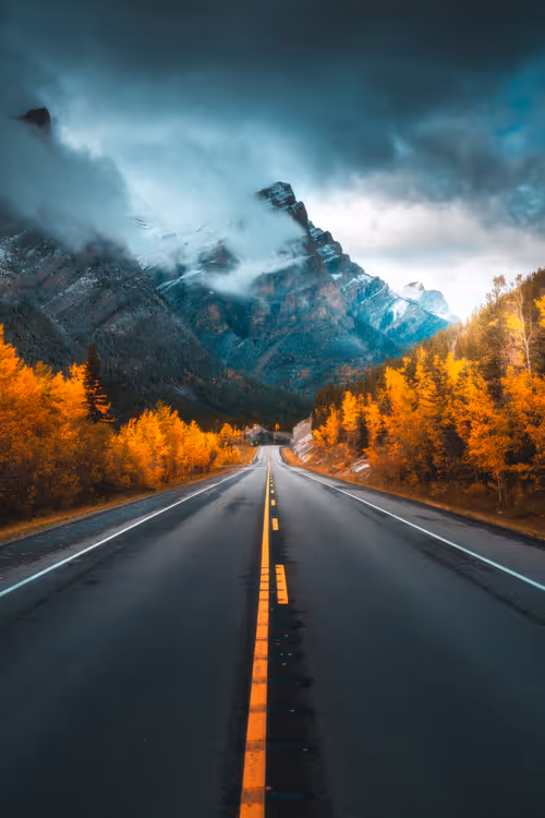 Item #62546128571173573861370652936856218284243546780344801453551937483833083953153 Media