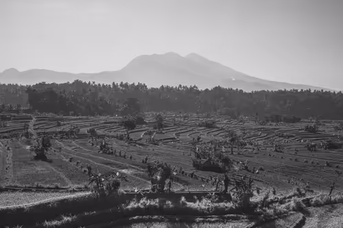 Item #95633765474931350240165697288740384276668175365753332134829565110227304448001 Media