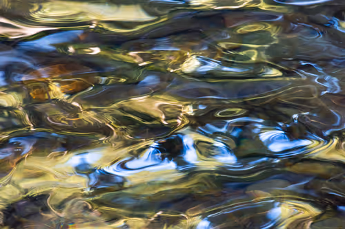 Item #81441334517361708208394031135700195474624799851237506988747107999682574417921 Media