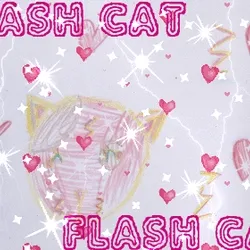Flash Cat
