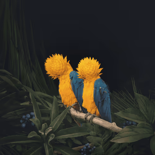 The Birds of Paradise