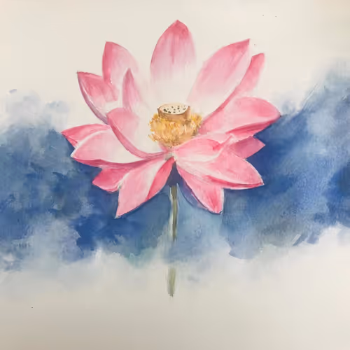 Beautiful Lotus