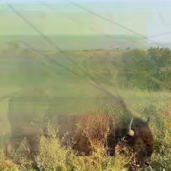 105089968166921690156624725616502706642431777719922472152070405774439337689089