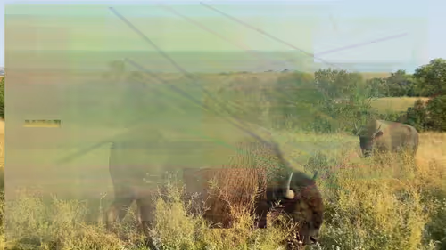 Item #105089968166921690156624725616502706642431777719922472152070405774439337689089 Media