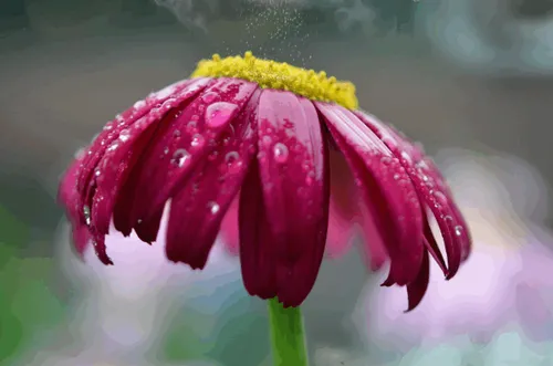 Item #31900271073354632832991890429912638653086322620126594410230774044711108739073 Media