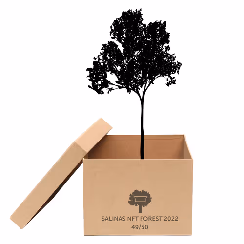 Item #63532776318757439562276927313719991273687356279339277108967620946437047582721 Media