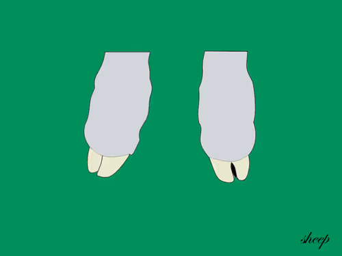 Item #24843950328459654647592333095373915695654115129450378637534313017826808430593 Media