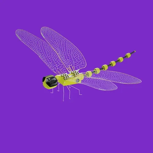 OBTI BOT DF #002