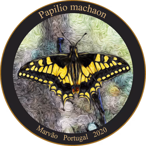 Item #83346383481971607988729477170446348570292642791419063456680174190184296873985 Media