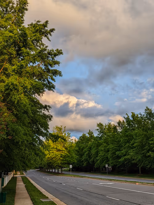 Item #27225571184788260604984224055988062336080108645856878845642875102701268500481 Media