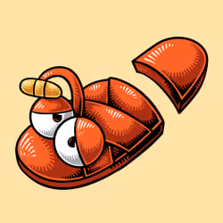 #02 The sandal split on