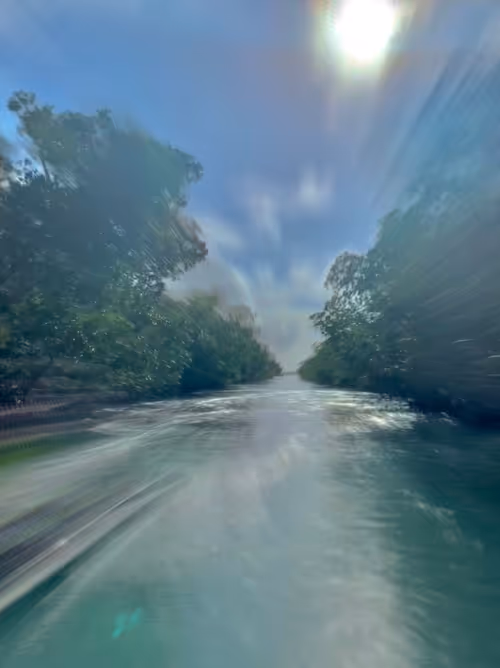 Item #51690675638909644790966826113213763437997288927381309606437551989093375672321 Media