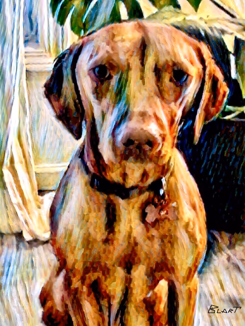 Item #100912189096696144949180120692345760590440403347893883972252148260362331881473 Media