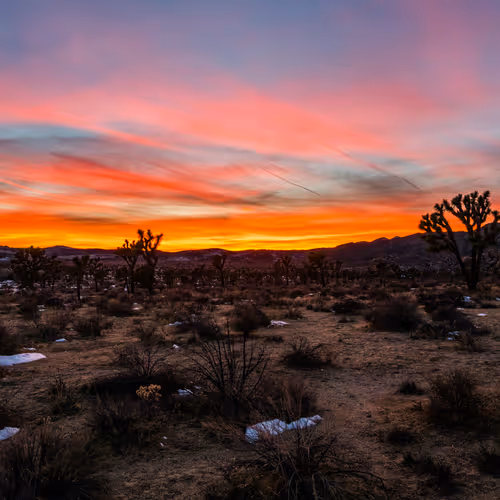 36803766187647196690517014366493952358167166362150973793678746421321395077121