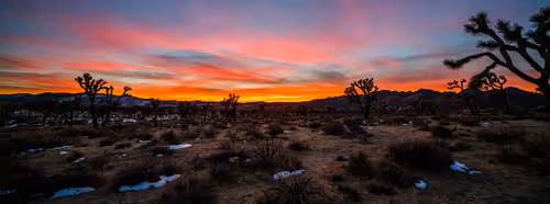 Item #36803766187647196690517014366493952358167166362150973793678746421321395077121 Media