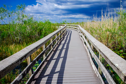 Item #2560167528831681655449026720249695031072996054742885035460294100437935587329 Media