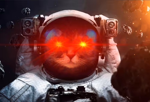 Untitled Collection #46176685