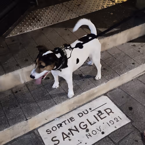 Untitled Collection #456259711