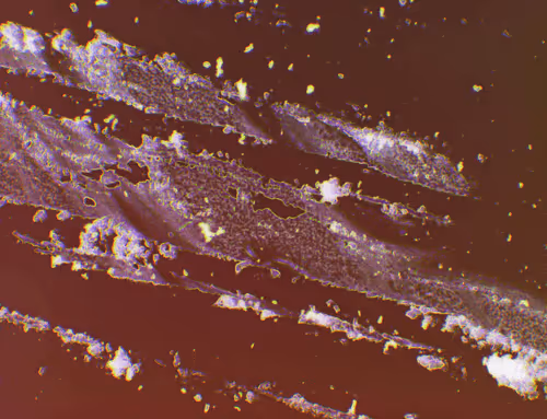 Item #71646257518770613568983710813551014237803002136866425209291833627171354574849 Media