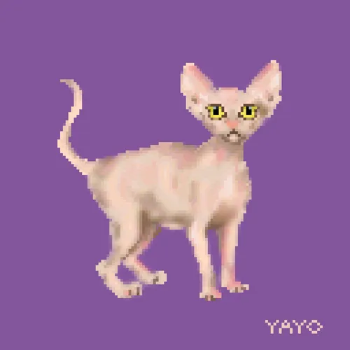 Item #13080766421190555612307919645379576803990371461875354718024555266261490073605 Media