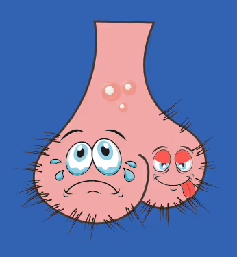 Item #22793047471806318065020766672709763262679883798276267629942526002100038533121 Media