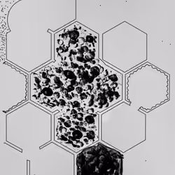 hive break
