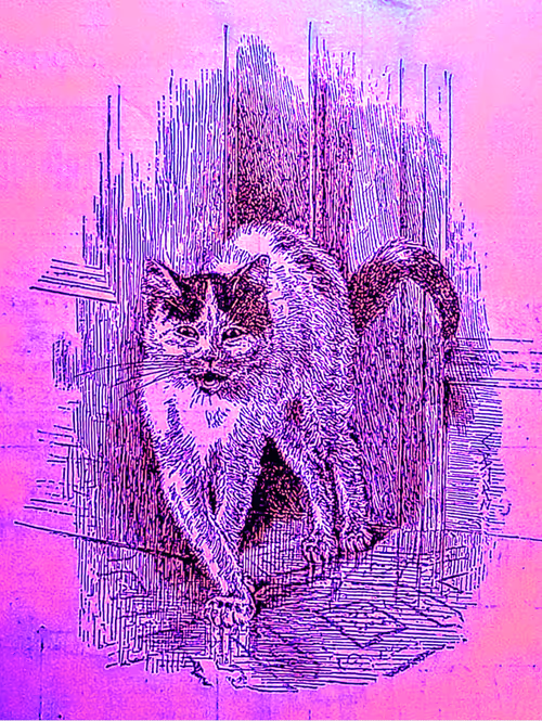 Item #35247308013863639916483757756408588227786114589757564733366544660600817975326 Media