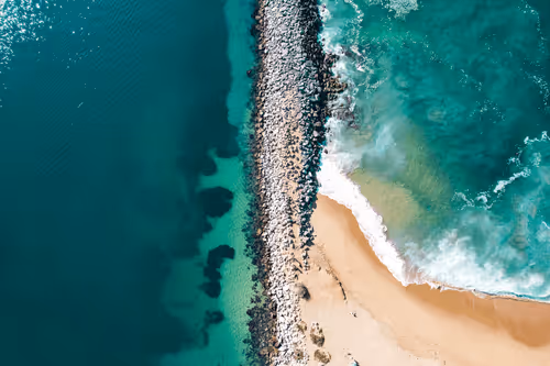 California Dreaming Fall Collection 2021