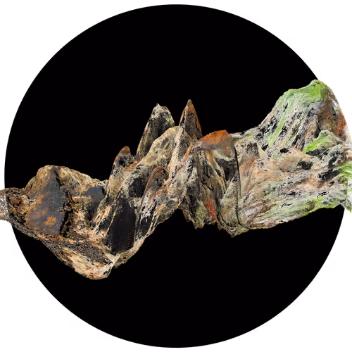 Item #3297889266964821186108216166808061648097153390725508810487041794885749309441 Media