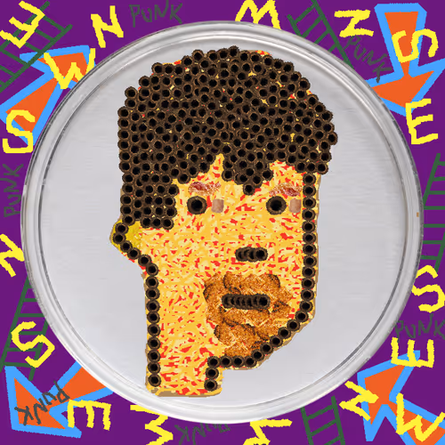 9904244983598080377191155889608568085309669228327026261475657540297706962945