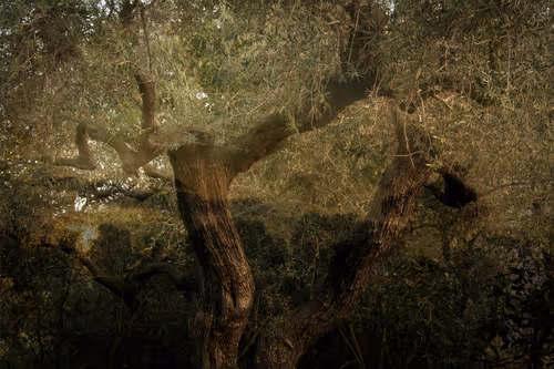 Item #1448819722811812157553440872911488319417736624981688873626406817767998095361 Media