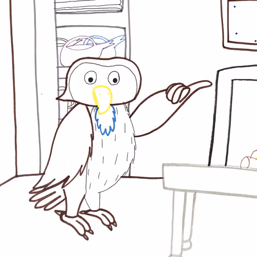 Cozy Owl