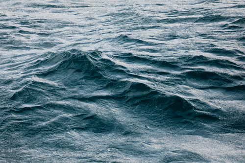 Item #63454844605715267947314910232292346032056647728766809663184741537374298701825 Media