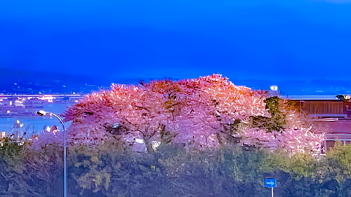 Item #26309083901545567454709889211670292098627789932924015051489478885508145741829 Media