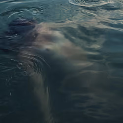 Drowned 2