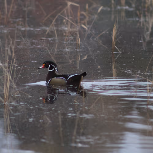 Untitled Collection #183031707