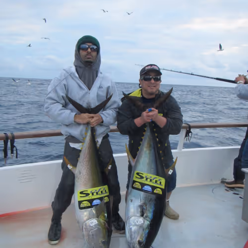 yungjizzle909 Collection