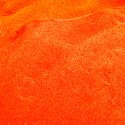 98843954857266856101330559780238873570552098425130206222908041848330007871489