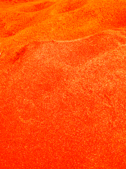 Item #98843954857266856101330559780238873570552098425130206222908041848330007871489 Media