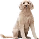 7696036303375689785495743907939695566663167313676725681744307213824388235265