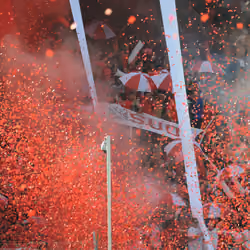 Rojas
