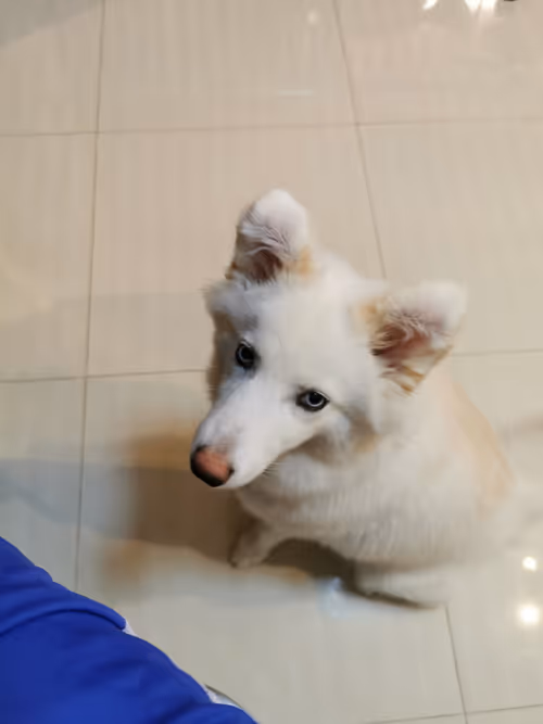 Item #11589634007344310346073007191394288969191527375593807410073591600516471717889 Media